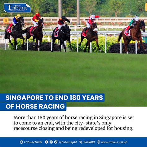 stc race results|Singapore Turf Club .